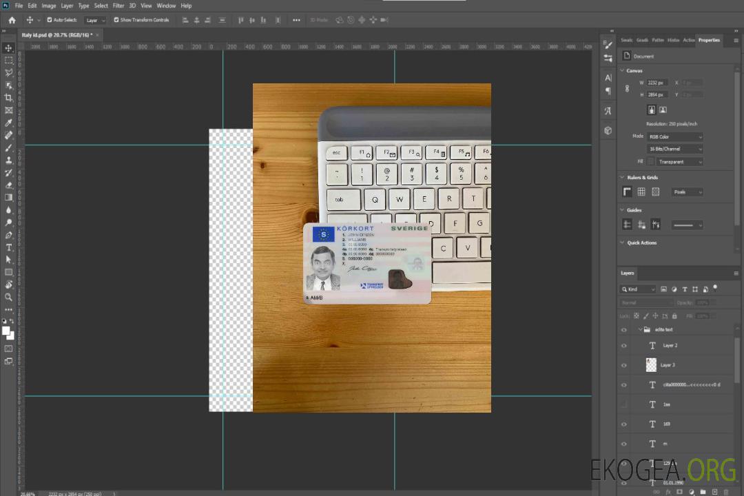 Permis de conduire suédois (2016-présent) photolook AVANT template